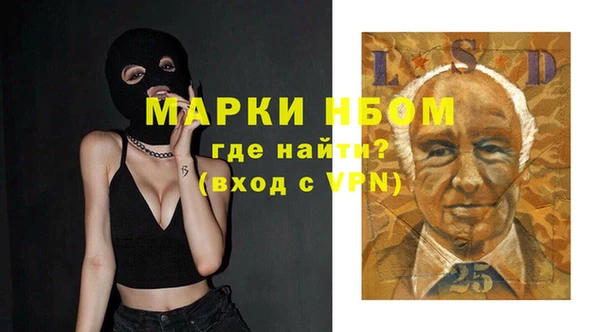 хмурый Абаза