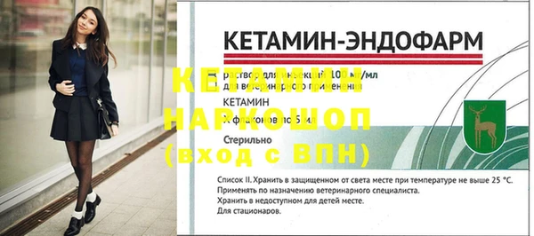 хмурый Абаза