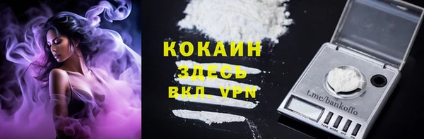 хмурый Абаза