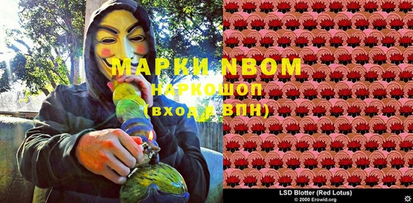 хмурый Абаза