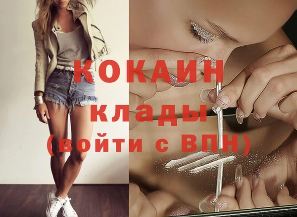 хмурый Абаза