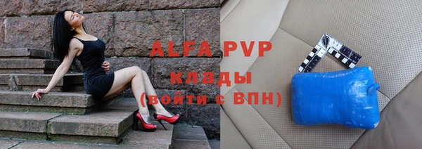 прущие грибы Абдулино
