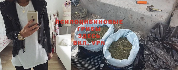 хмурый Абаза