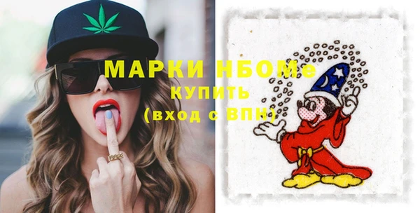 хмурый Абаза