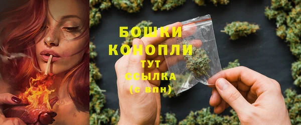 прущие грибы Абдулино