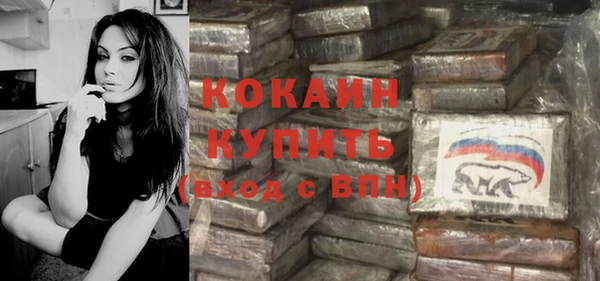хмурый Абаза