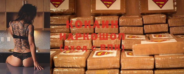 хмурый Абаза