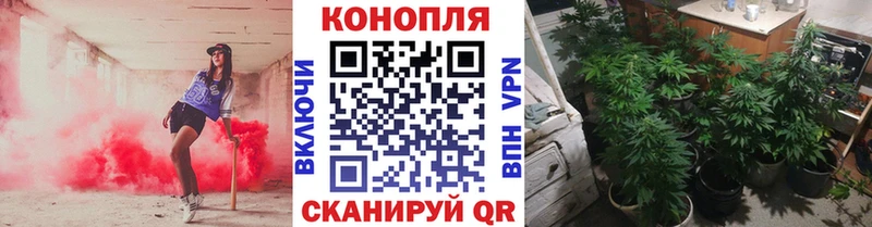 дарнет шоп  это как зайти  Канабис VHQ  Касли 